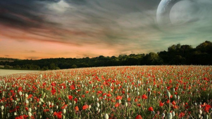 雷军说「烧开自来水绝对不能喝」，是真的吗?